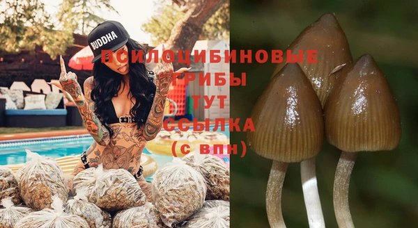 каннабис Лабытнанги