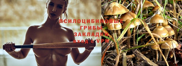 наркотики Лагань