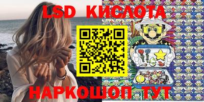 гашик Будённовск