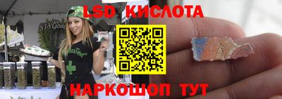 гидра Камышлов