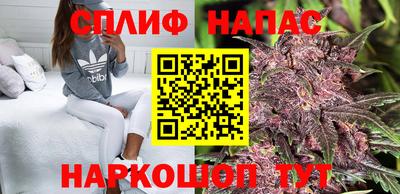 гашик Будённовск