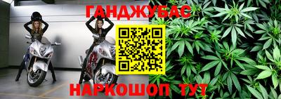 гашик Будённовск