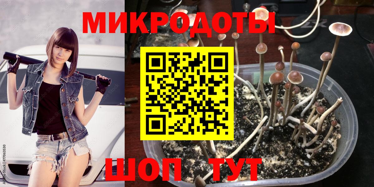 Галлюциногенные грибы GOLDEN TEACHER  Вход с VPN  Обнинск  Псилоцибиновые грибы мухоморы 