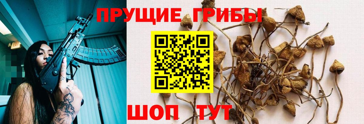 Галлюциногенные грибы мухоморы Обнинск