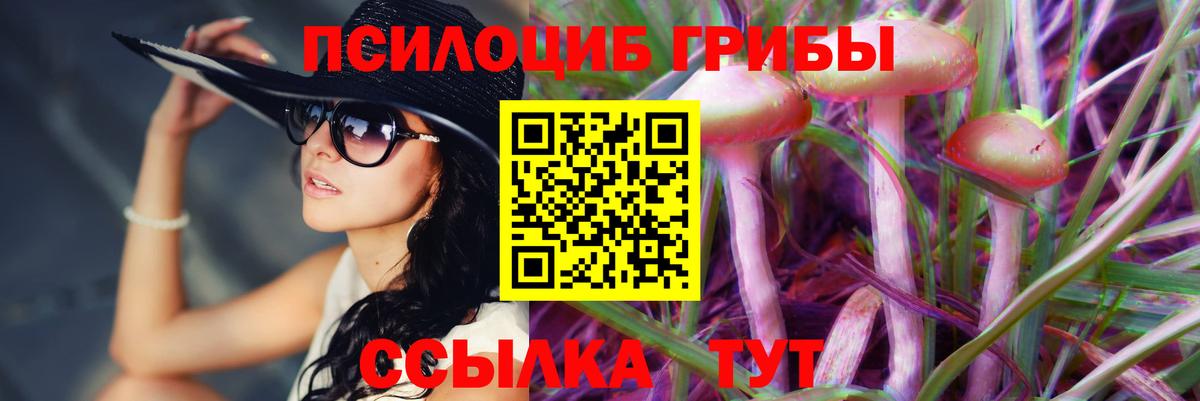 Галлюциногенные грибы GOLDEN TEACHER Обнинск